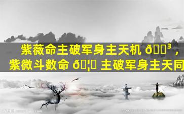 紫薇命主破军身主天机 🌳 ,紫微斗数命 🦉 主破军身主天同